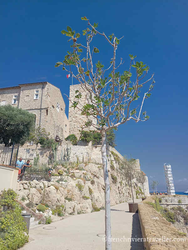 Promenade Antibes
