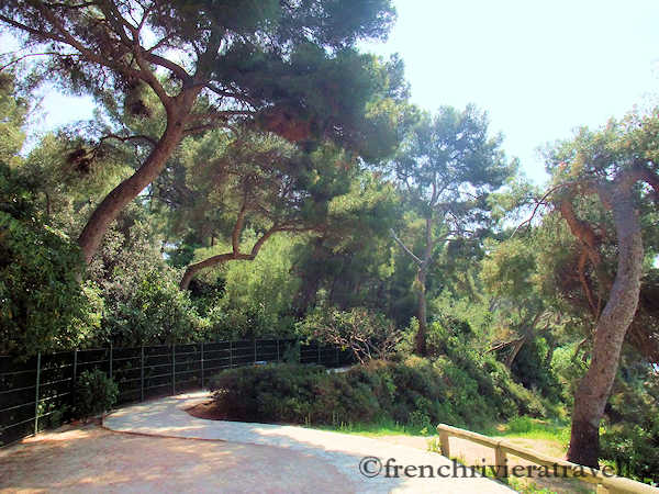 Path on Cap Ferrat